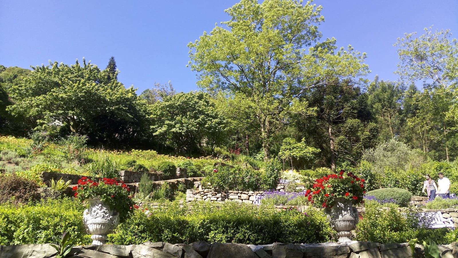 Le Jardin Parque de Lavanda