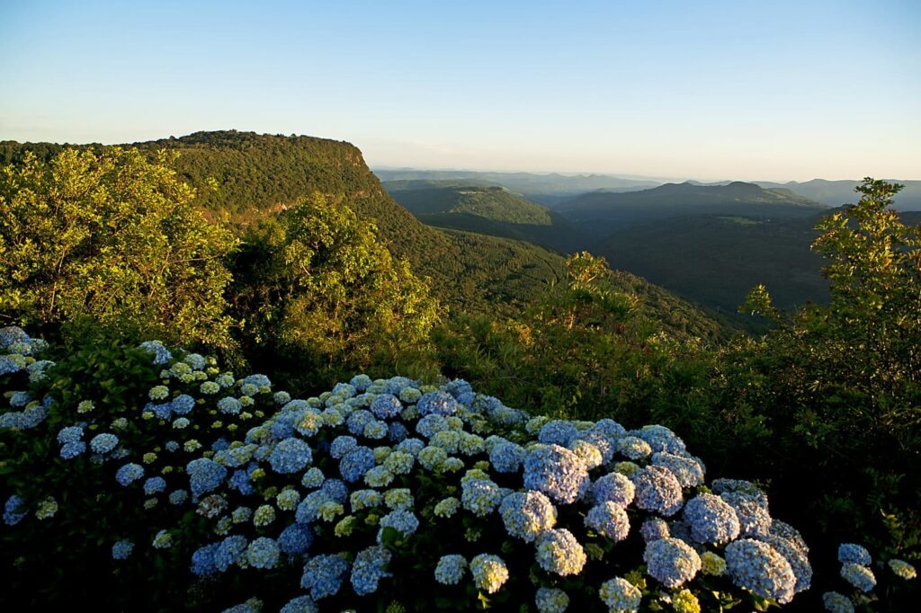 Parque Laje de Pedra