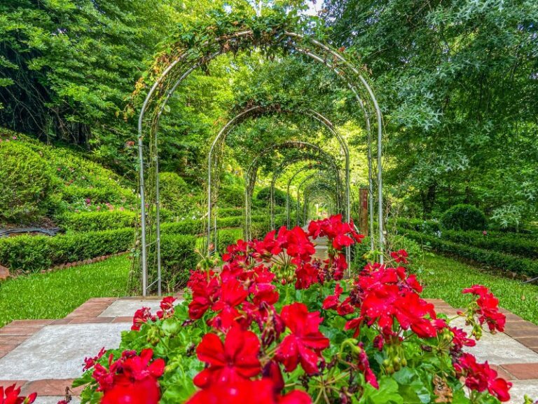 Natureza no Garden Park Gramado