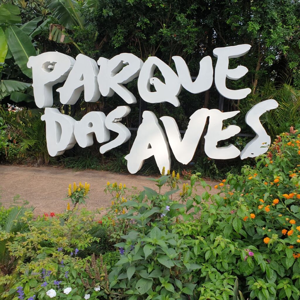 Parque das Aves em Foz do Iguaçu um santuário de imersão na Mata Atlântica Blog TourFácil